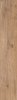 Epicentr Newcastle Gold 19,8x120